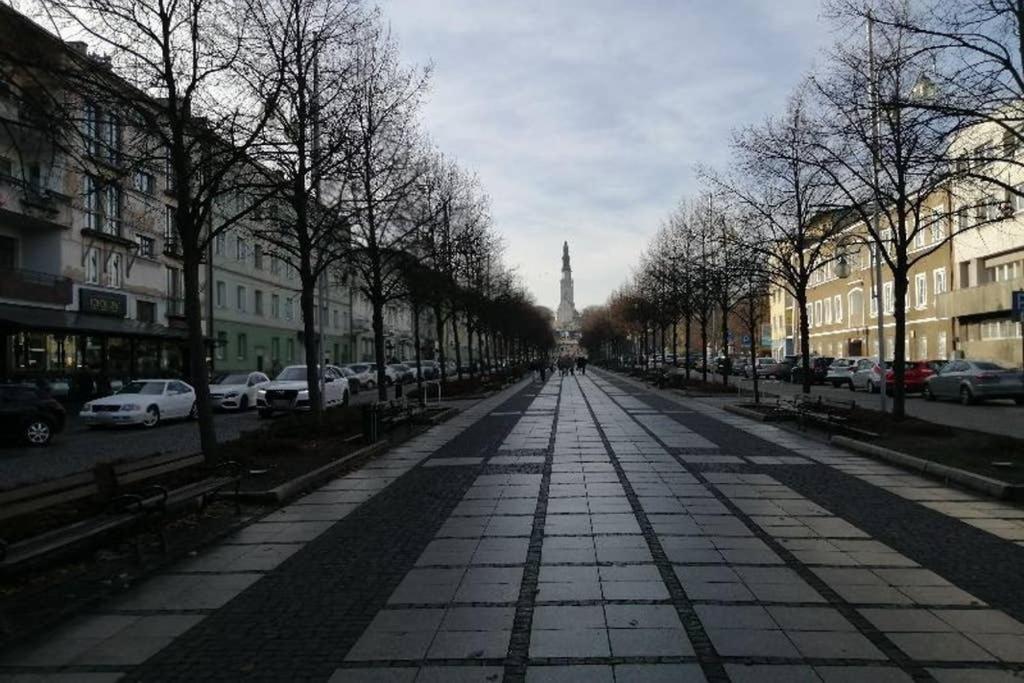 Apartament Lucy - Scisle Centrum Czestochowy Częstochowa Kültér fotó